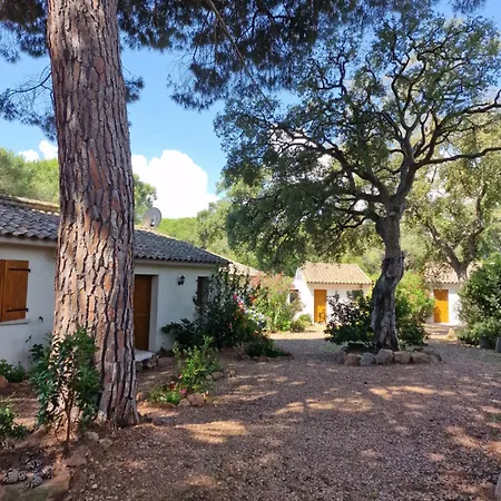 Pour 2 Personnes à 700m De La De Palombaggia Hébergement de vacances Porto-Vecchio (Corsica)