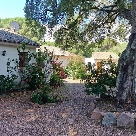 Pour 2 Personnes à 700m De La De Palombaggia Hébergement de vacances