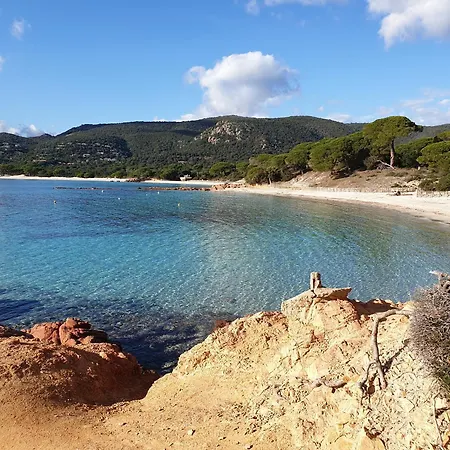 Semesterbostad Pour 2 Personnes A 700m De La De Palombaggia *