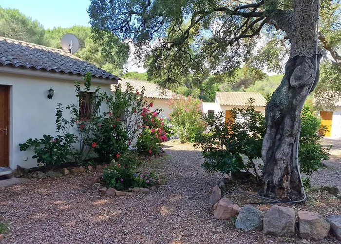 Pour 2 Personnes A 700m De La De Palombaggia Tatil Evi