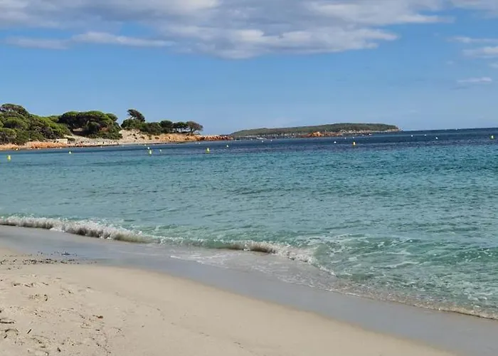 Pour 2 Personnes A 700m De La De Palombaggia Tatil Evi