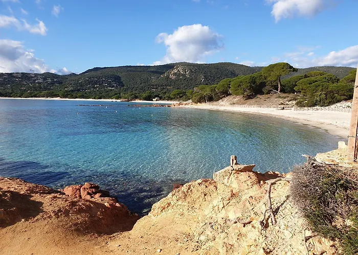 Tatil Evi Pour 2 Personnes A 700m De La De Palombaggia *